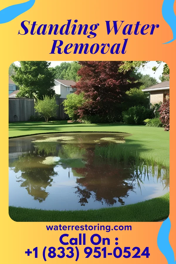 Standing Water Removal in Goessel, KS